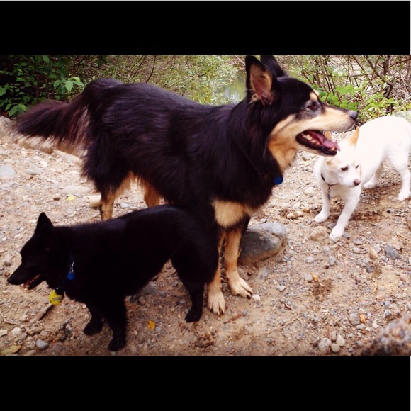 Meet your Posher, Martha Maria. - Picture 2 of 8